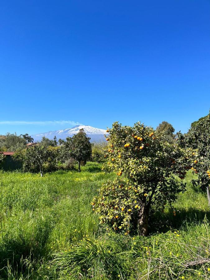 Apartmán Casa Dei Fiori Con La Vista A Taormina Schiso Exteriér fotografie